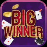 Big Winner Pro